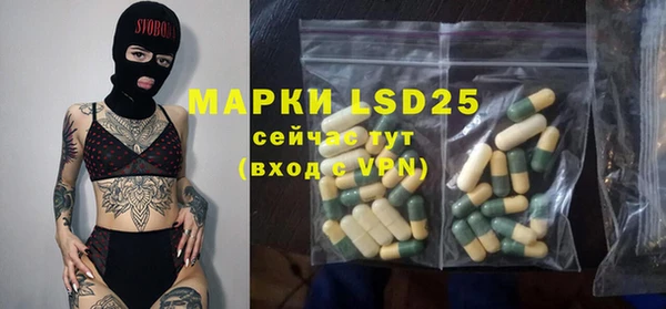 MESCALINE Горняк