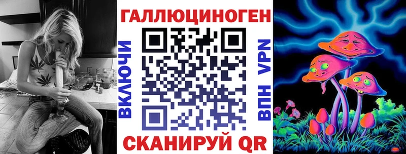 Псилоцибиновые грибы GOLDEN TEACHER  Купить где  Кяхта 